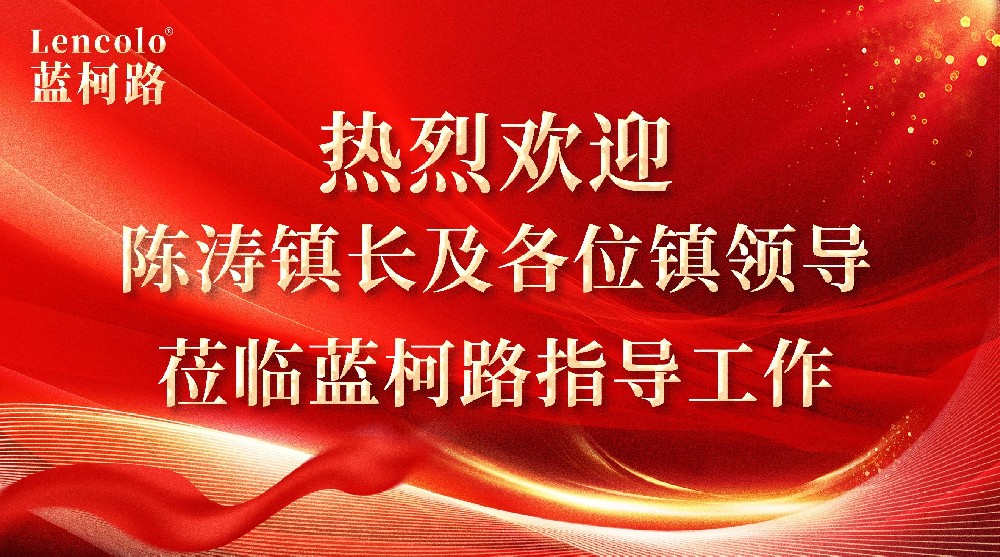 心系企业，情暖蓝柯路——陈镇长及镇领导团队亲临指导，共绘发展蓝图